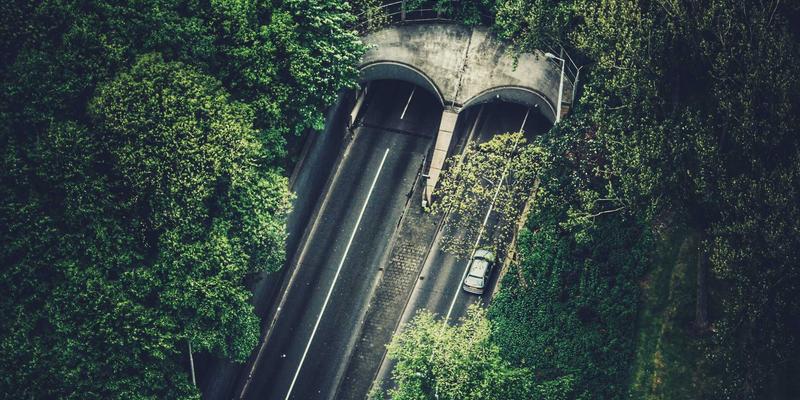 从口号到行动：三步将企业文化价值观转化为驱动组织效能的真实力量