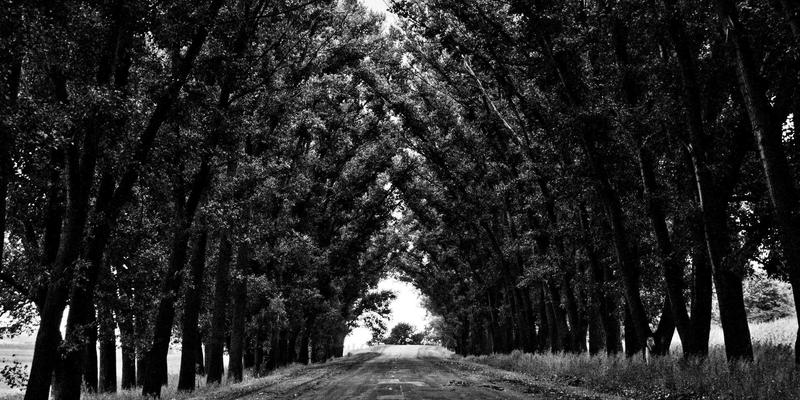 从组织效能到领导力发展：三步构建卓天下企业的核心引擎