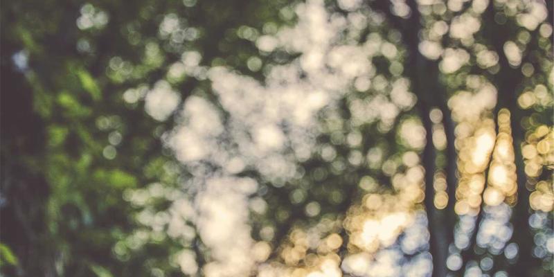 并购后如何“合而为一”？领导力发展与文化整合实战指南