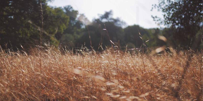 破局重生：敏捷管理如何为传统企业注入变革基因 | 卓天下实践指南